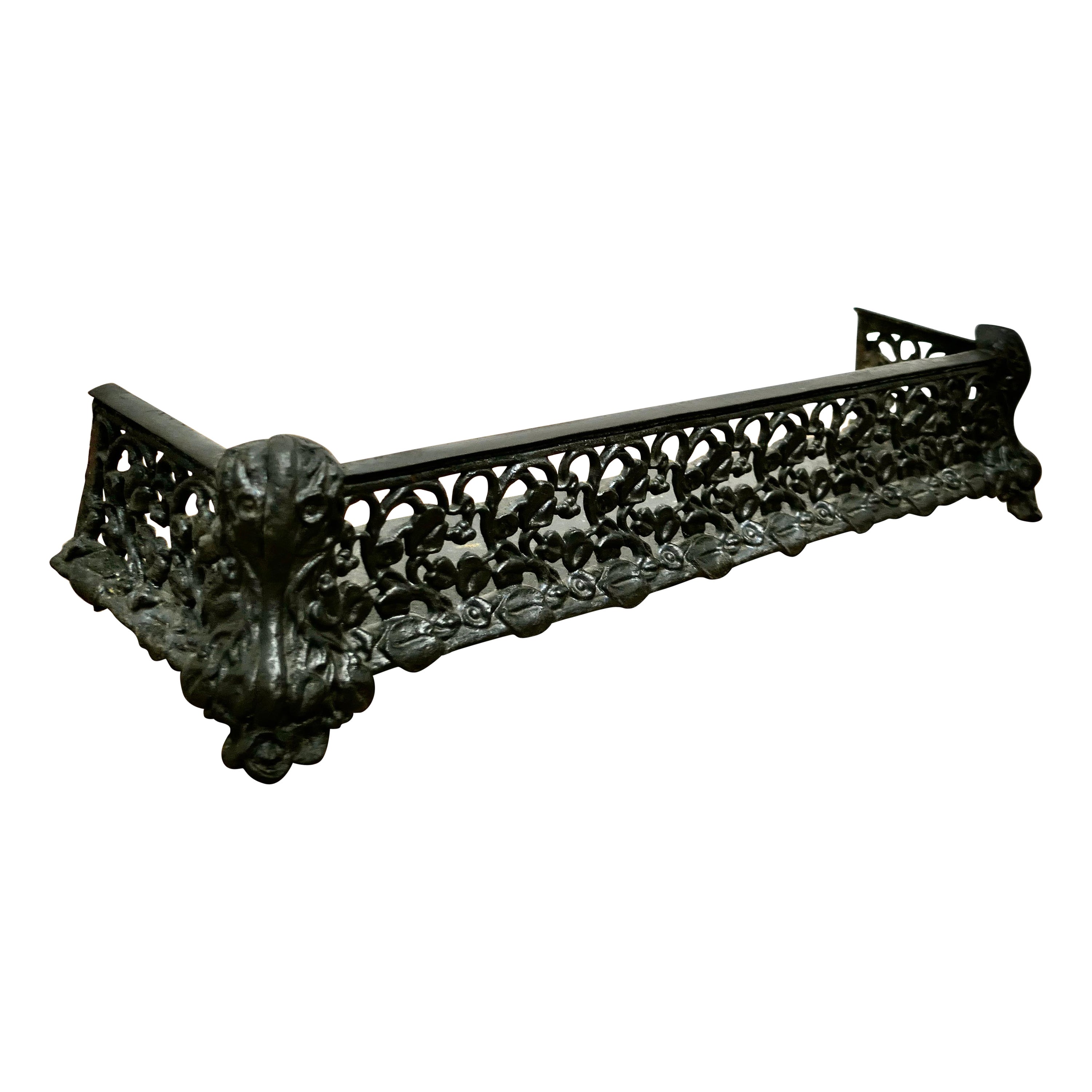 Art Nouveau Cast Iron Colebrookdale Style Fender or Dog Grate    For Sale