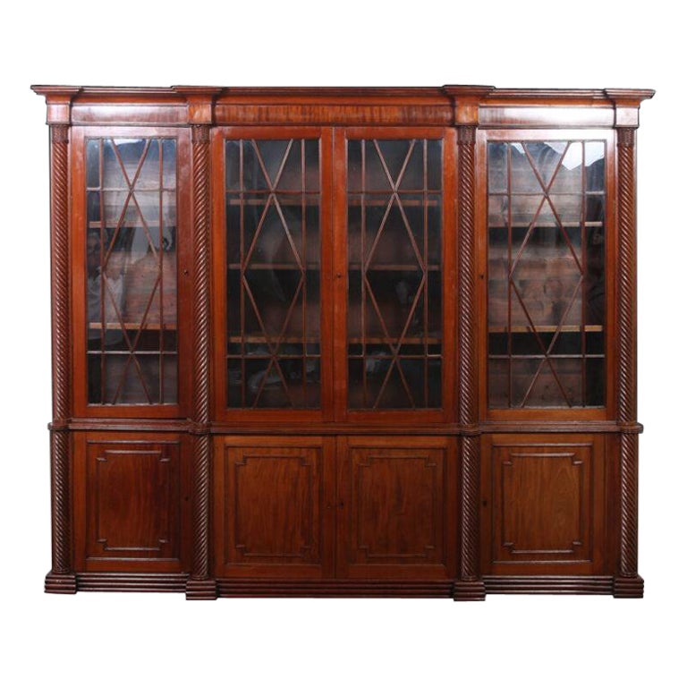 Monumental Early 19th Century Irish William IV Mahogany Bookcase For Sale