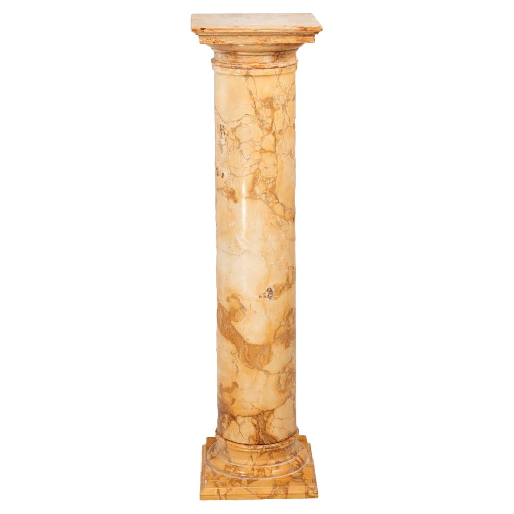 19th Century Marble Plinth in the Form of a Classical Column For Sale