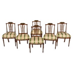Early 1900s Vintage Silk, Set of 6, Edwardian, Paint Decorated Dining Chairs!!