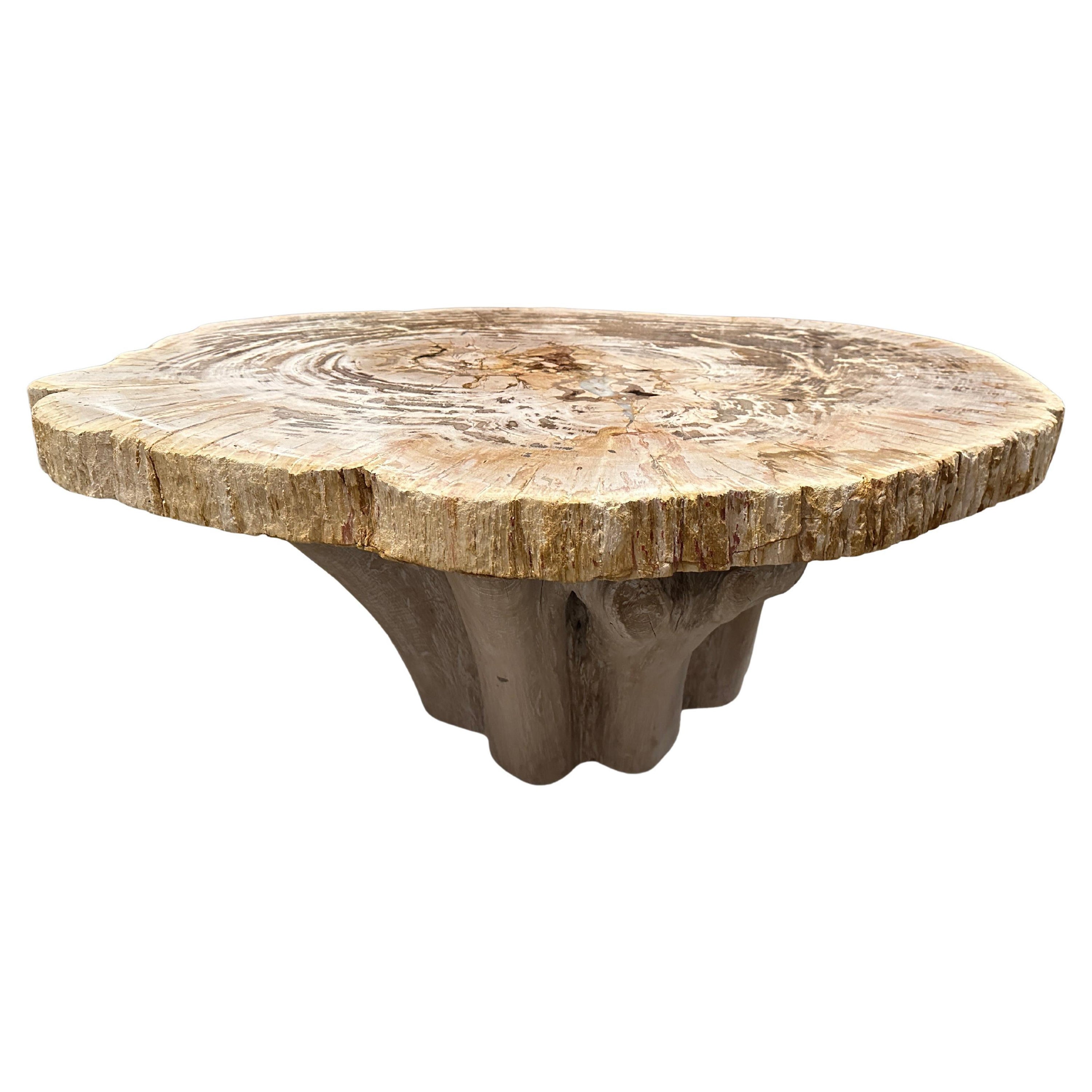 Table basse ovale Andrianna Shamaris en bois pétrifié avec base en teck organique en vente