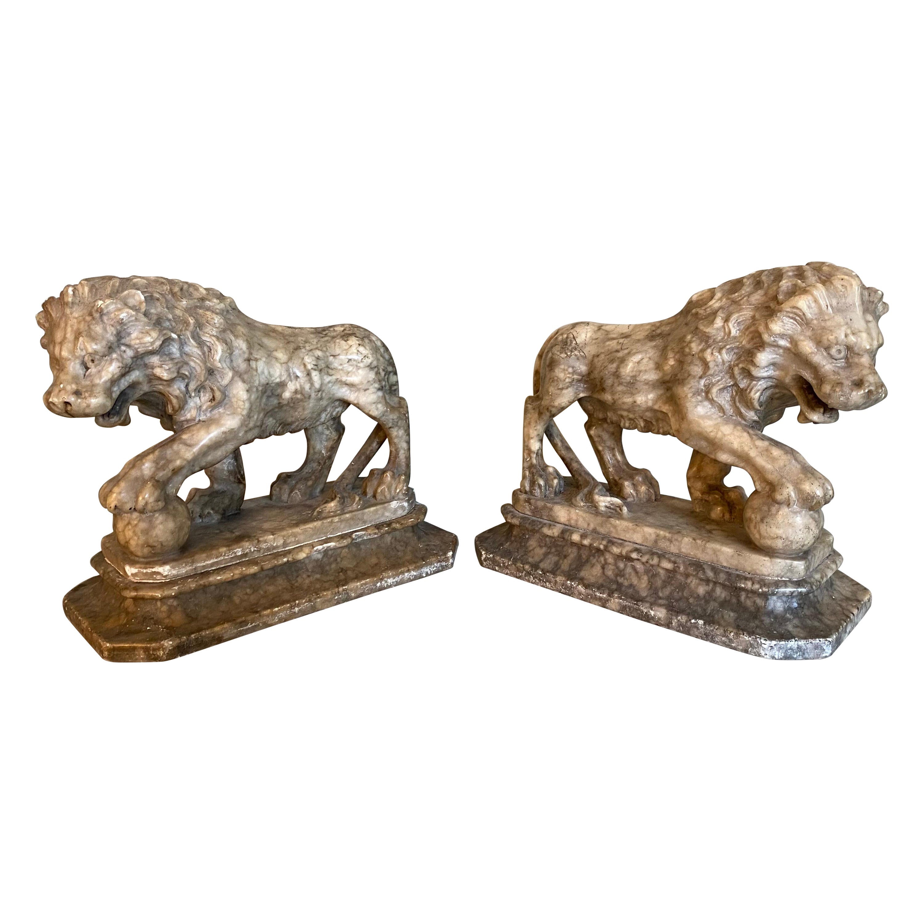 Paire de lions en albâtre Grand Tour du 19ème siècle en vente