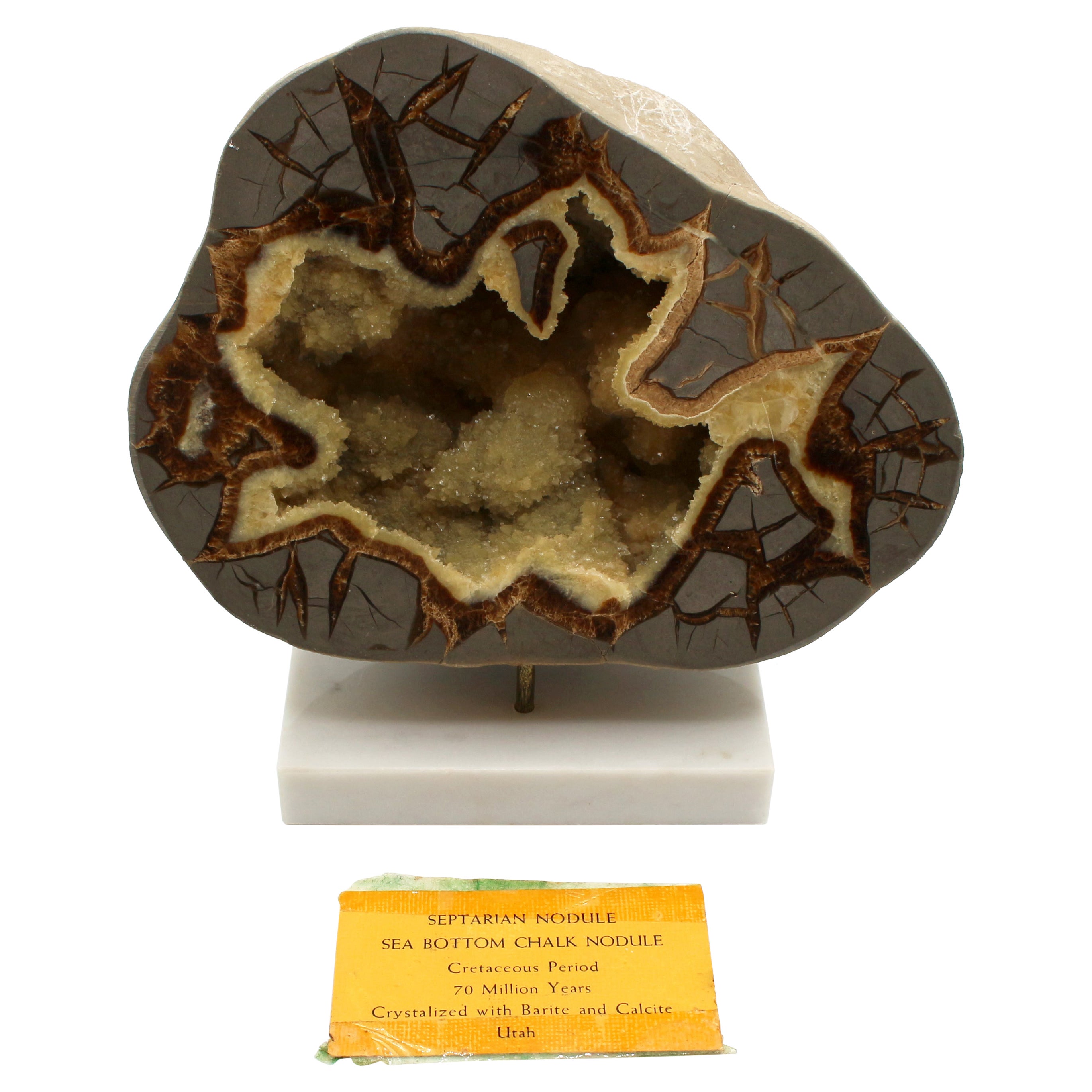 Cretaceous Period Calcite Septarian Nodule on Custom Stand For Sale