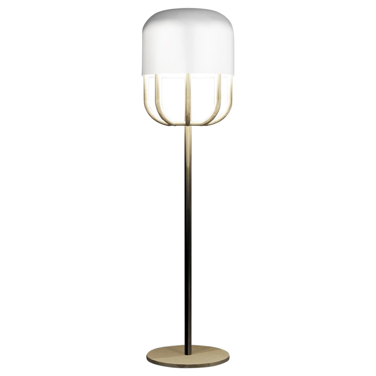 Imagin Capsule Floor Lamp in Powder-coated Metal and Brushed Brass For Sale