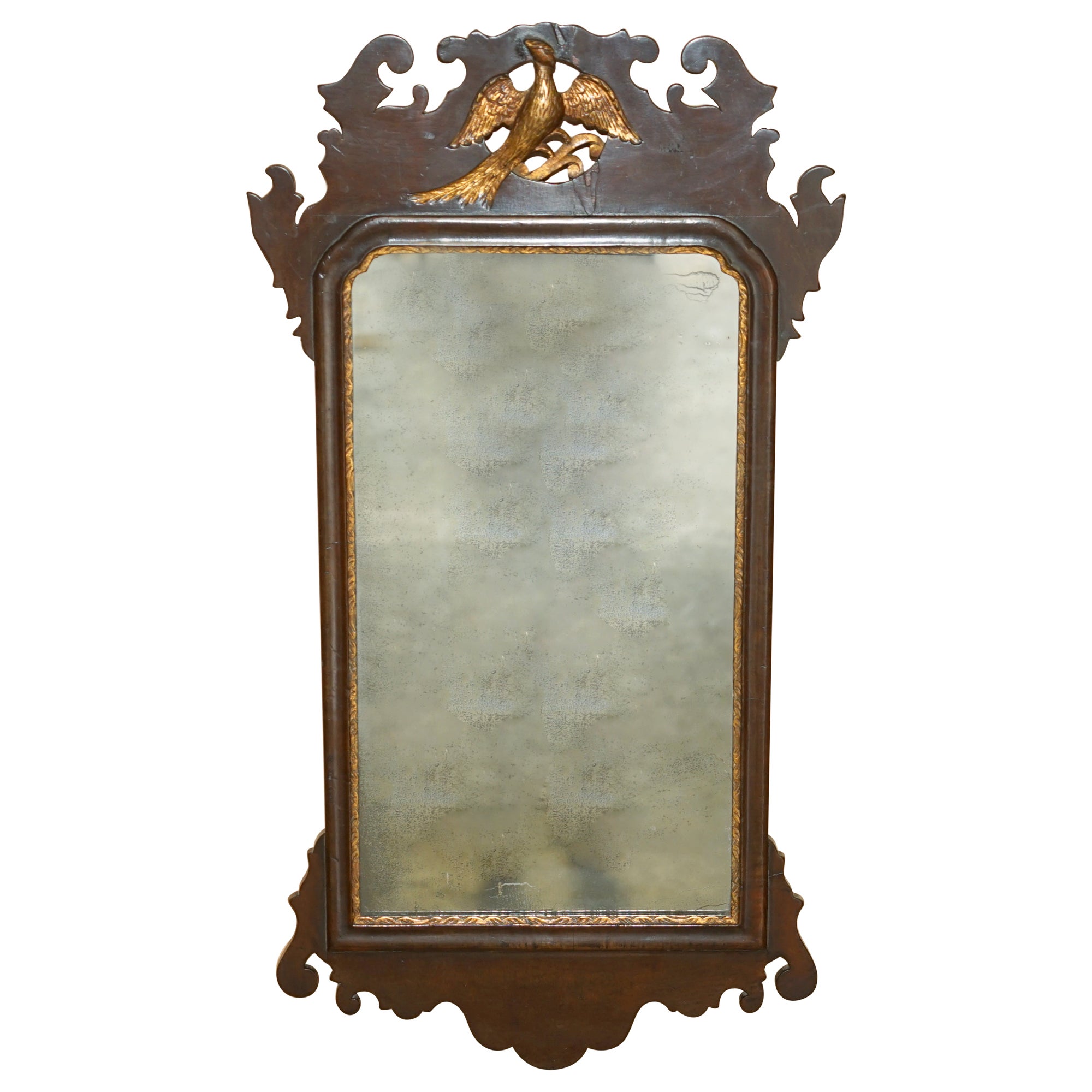 STUPENDO SPECCHIO IN STILE GEORGIANO DEL 18° SECOLO CIRCA 1880 IN LEGNO GILTWOOD PHOENIX AL TOP