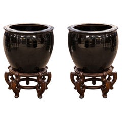Paar moderne asiatische Urnenvasen aus Keramik mit schwarzer Glasur auf verschnörkelten Holzständern