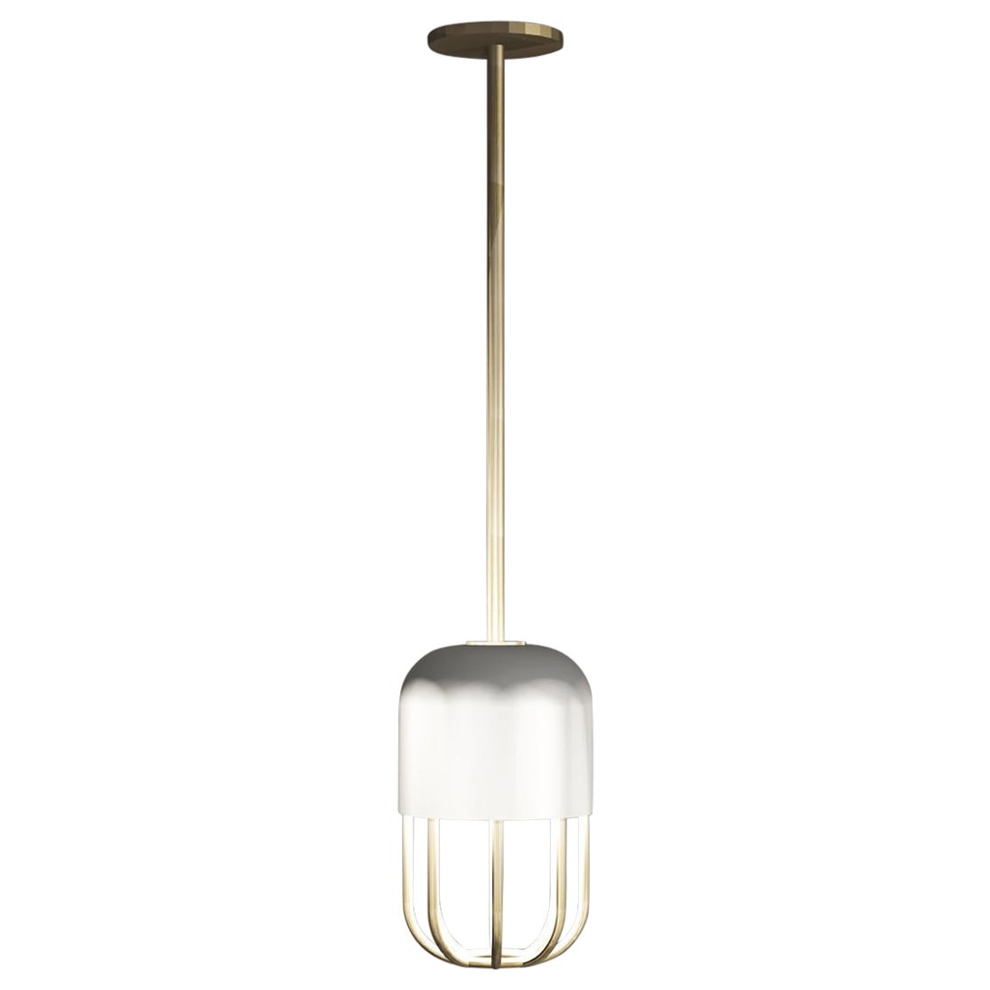 Imagin Capsule Pendant in Powder-coated Metal and Brushed Brass For Sale