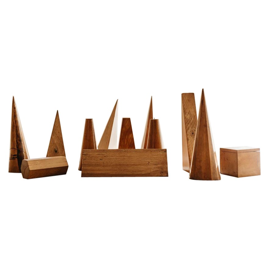 Eine Kollektion von 12 geometrischen Formen aus Eschenholz 