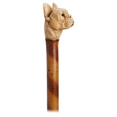 Vintage Dog ivory carved handle walking depicting a French buldog head, France 1890. 