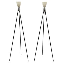 Rosy Angelis Lamps by Philippe Starck for FLOS