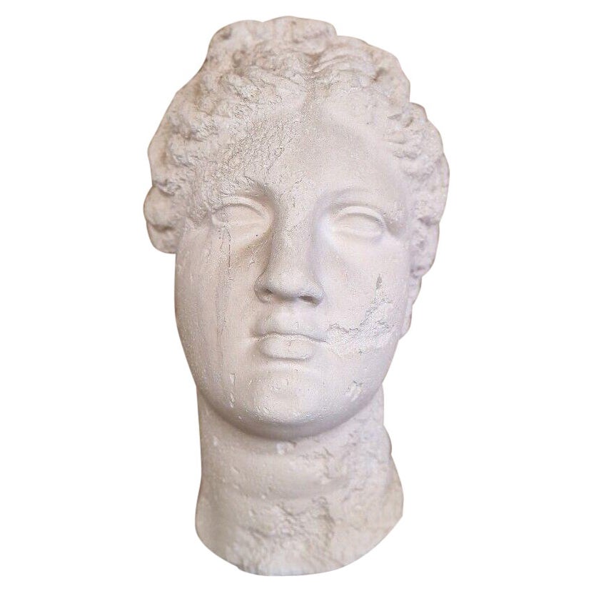 Venus Bust Wall Plaque in Plaster For Sale