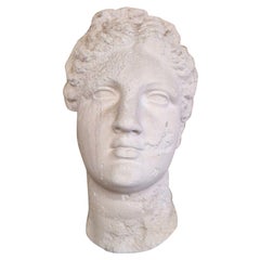 Venus Bust Wall Plaque in Plaster