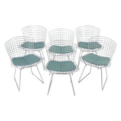 2000s Harry Bertoia for Knoll Dining / Side Chairs w/ Blue Pads, Set of 6