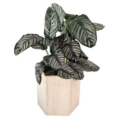 Retro Mid-Century Italian Travertine planter