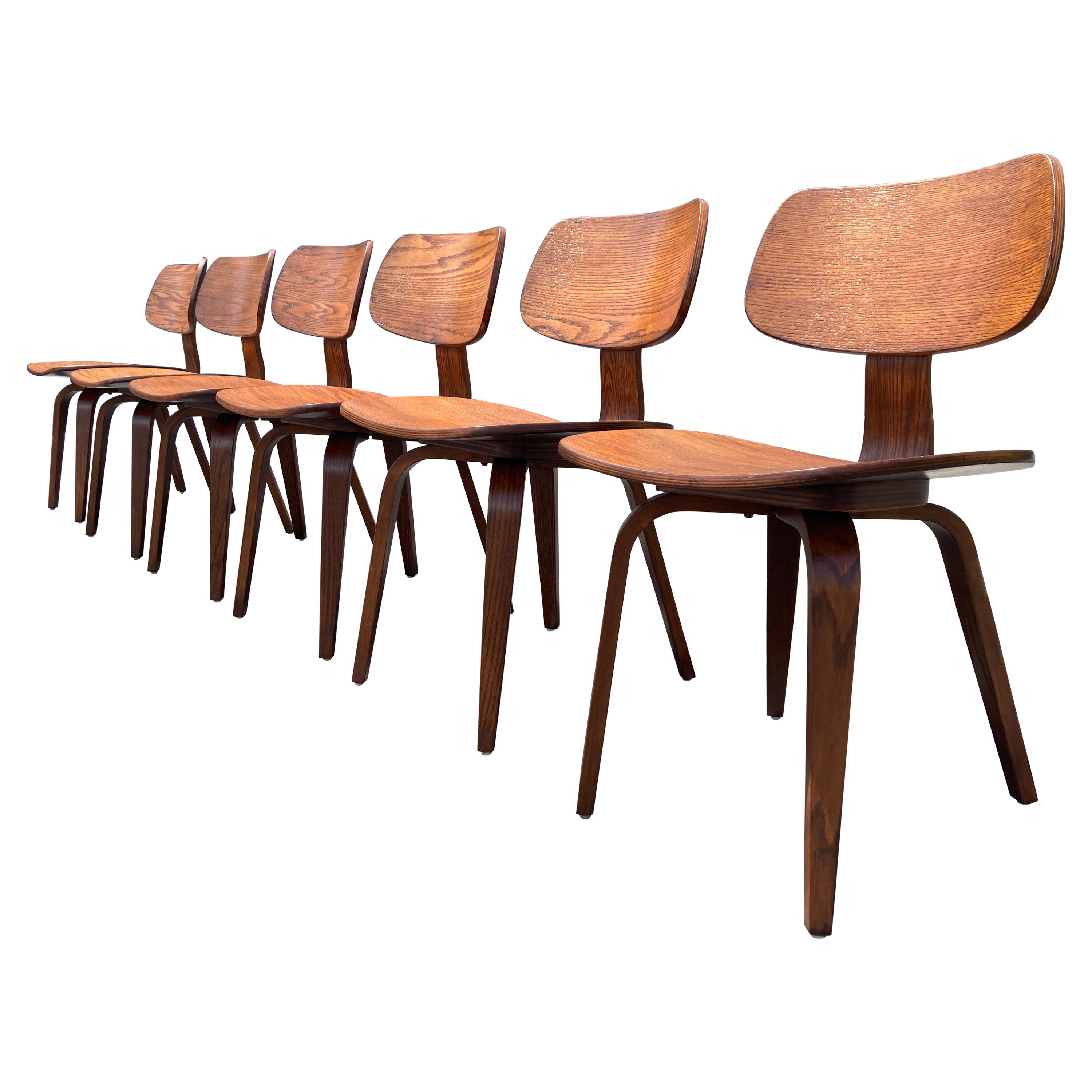 Set of Six Dining Chairs Designed by Bruno Weil for Thonet, Bentwood For Sale