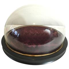 Dimuintive Victorian Museum Dome Display