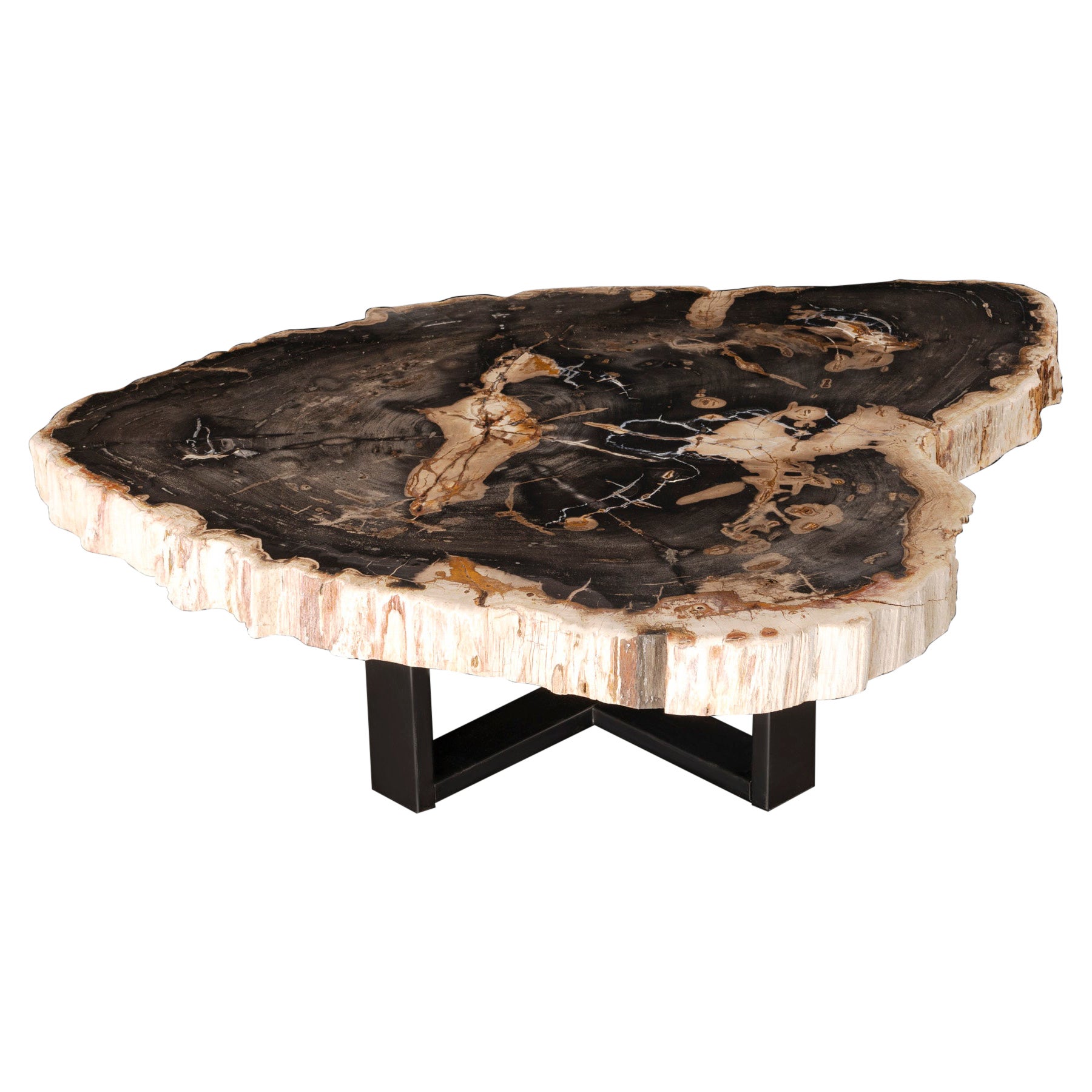 Table centrale ou table basse, de forme naturelle, bois pétrifié avec base en métal en vente