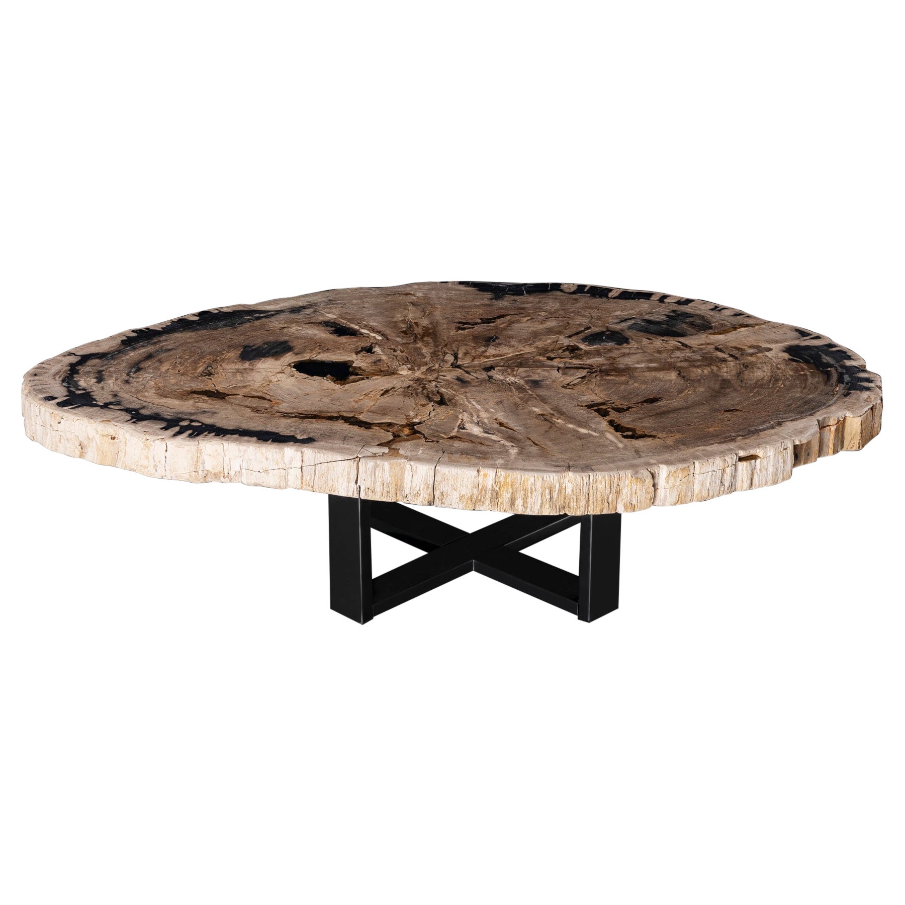 Tavolino da centro o da caffè, forma naturale, legno pietrificato con base in metallo