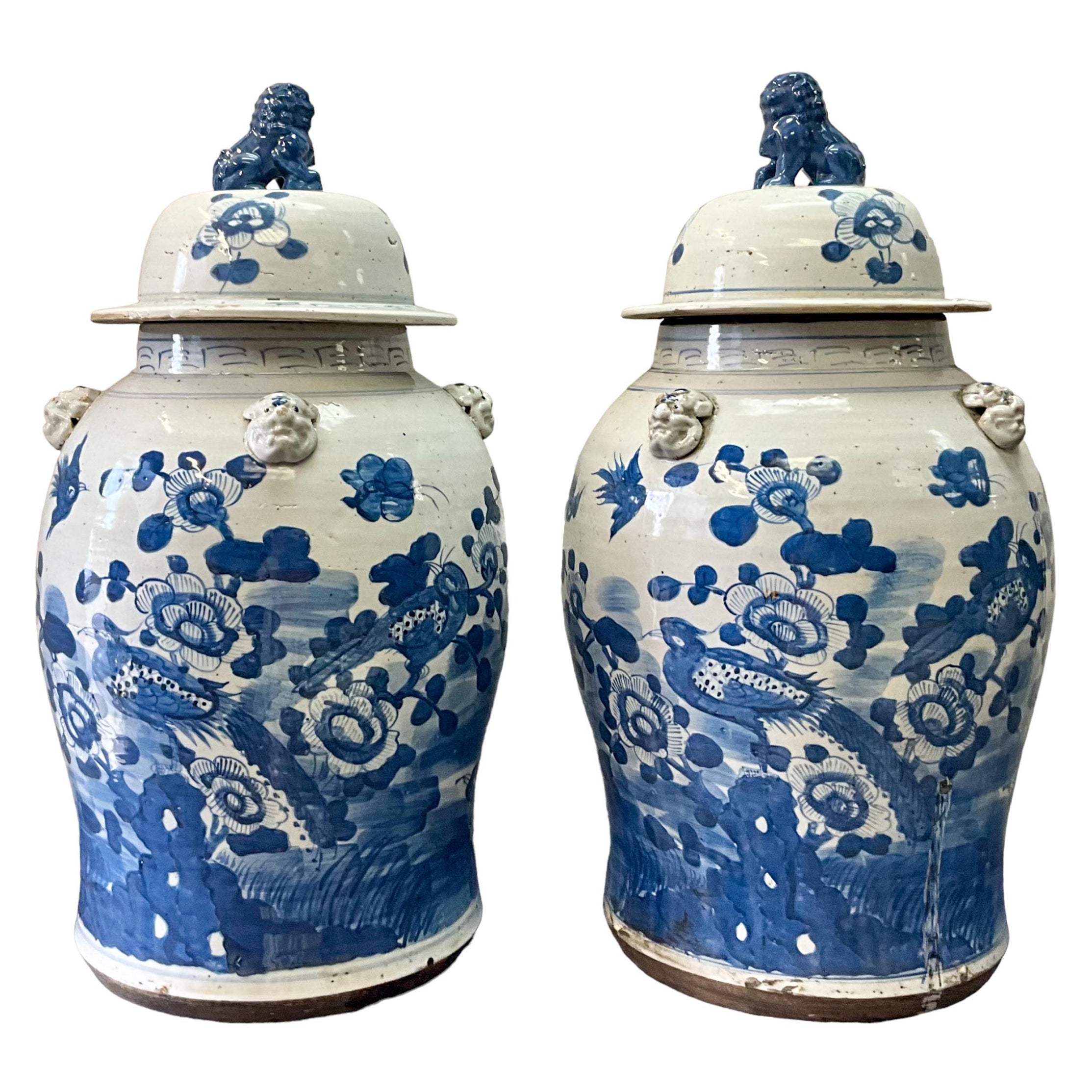 Large 20th-C. Chinese Export Style Blue & White Ginger Jars W/ Foo Dogs - Pair