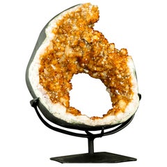 Citrine Geode Portal Slice with Rare Flower Stalactites Druzy