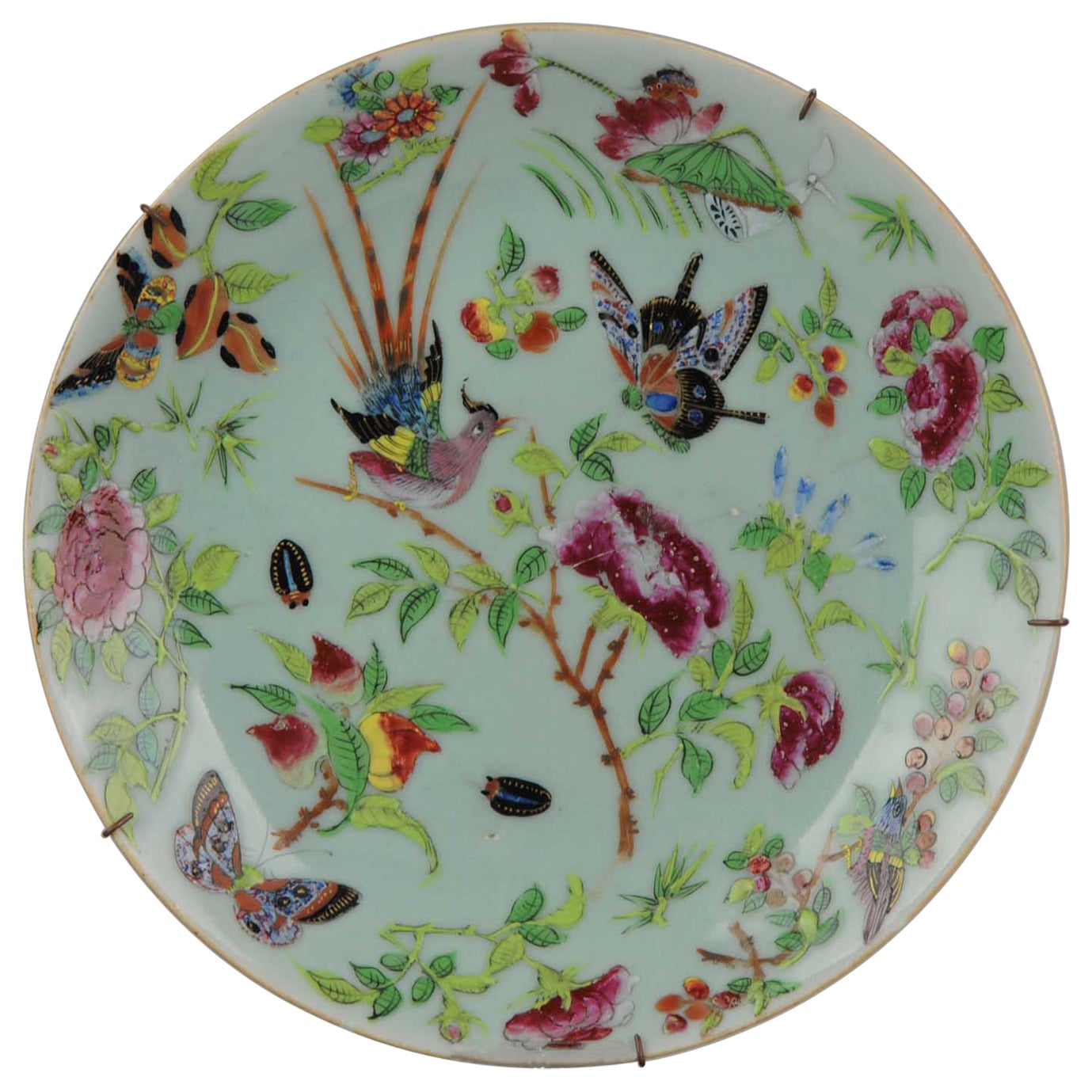 Assiette cantonaise ancienne en porcelaine chinoise Paradise Birds, 19ème siècle