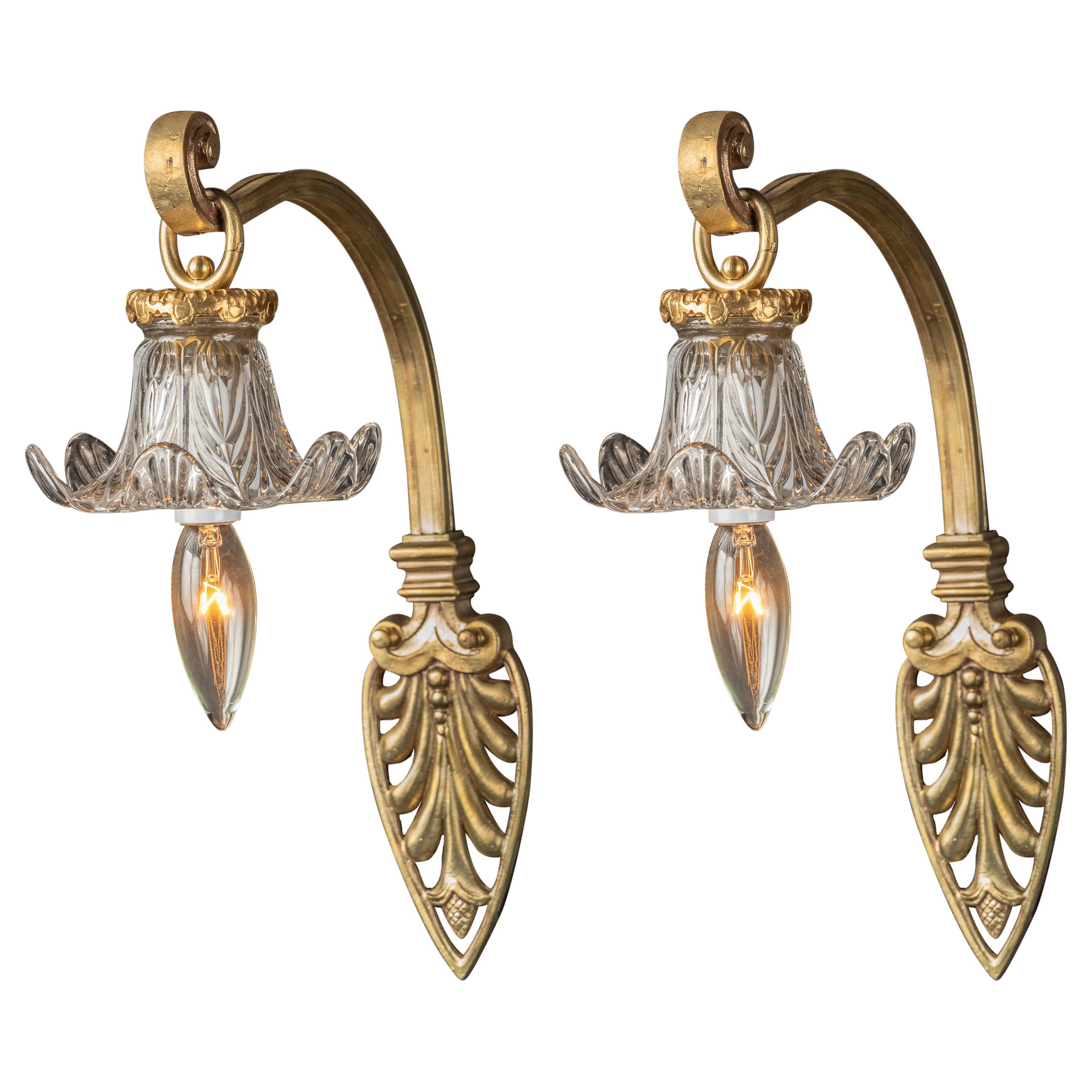Pair of French 19th Century Sconces with Etched Glass Lily Globes For Sale