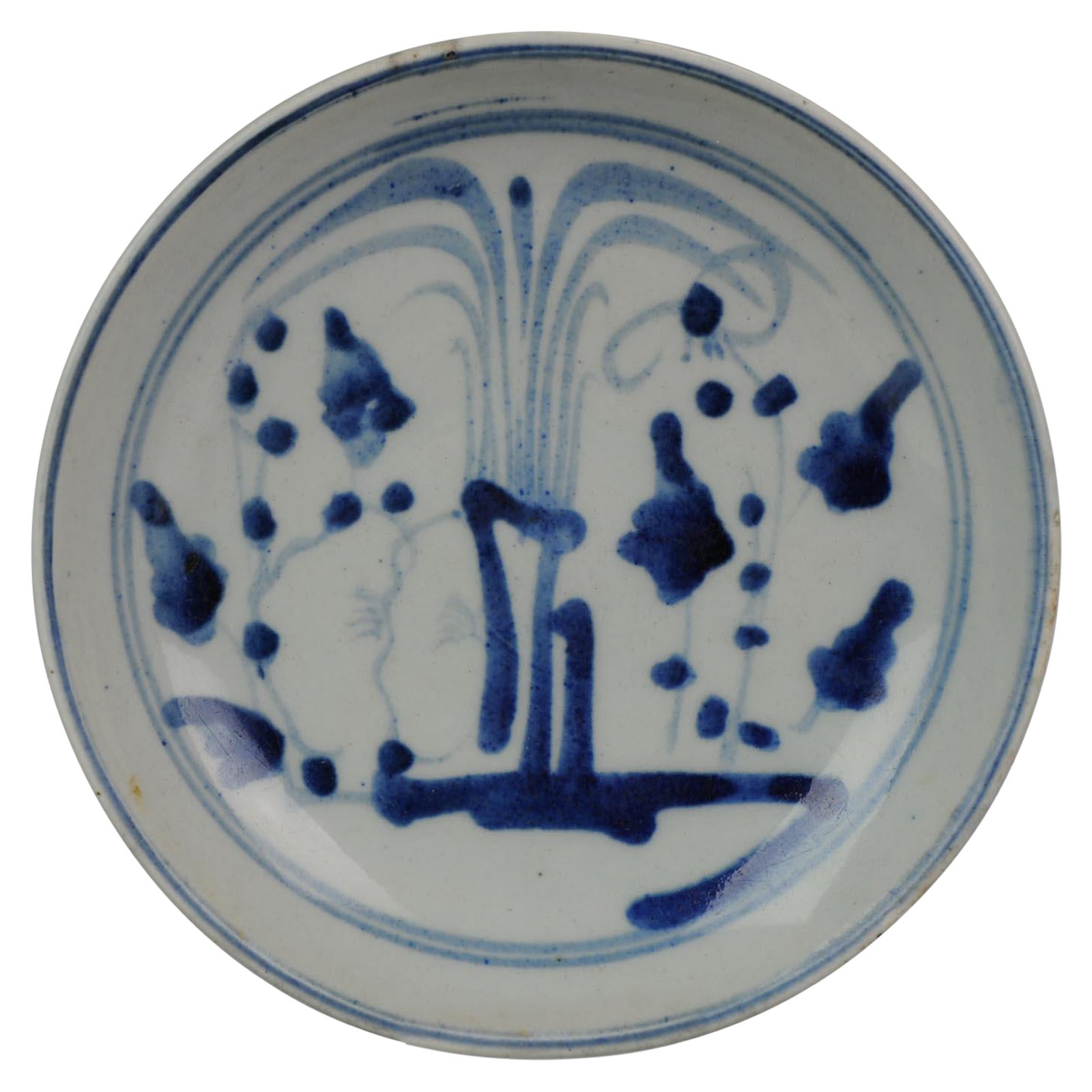 Antique Chinese Porcelain Kitchen Qing Plate China, 19th Century For Sale