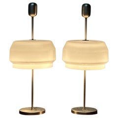 Rare 'KD9' Pair of Table Lamps by Studio GPA Monti for Kartell, 1960s