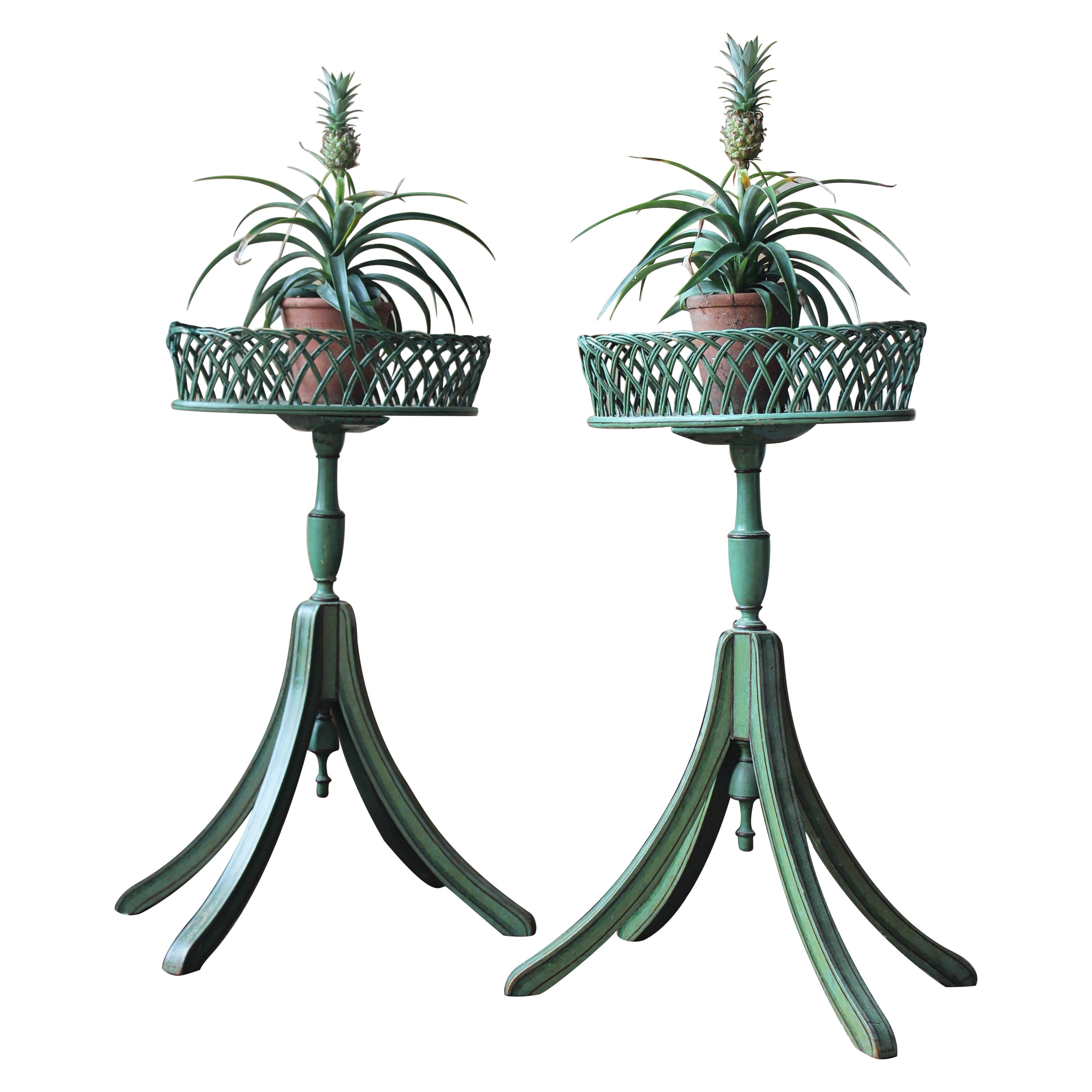 Early 20th C Pair of Regency Style Mist Green Pine & Wicker Jardinieres Planters For Sale