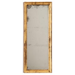 French 19th Century Petite Symmetrical Gilt Mirror