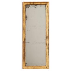 French 19th Century Petite Symmetrical Gilt Mirror