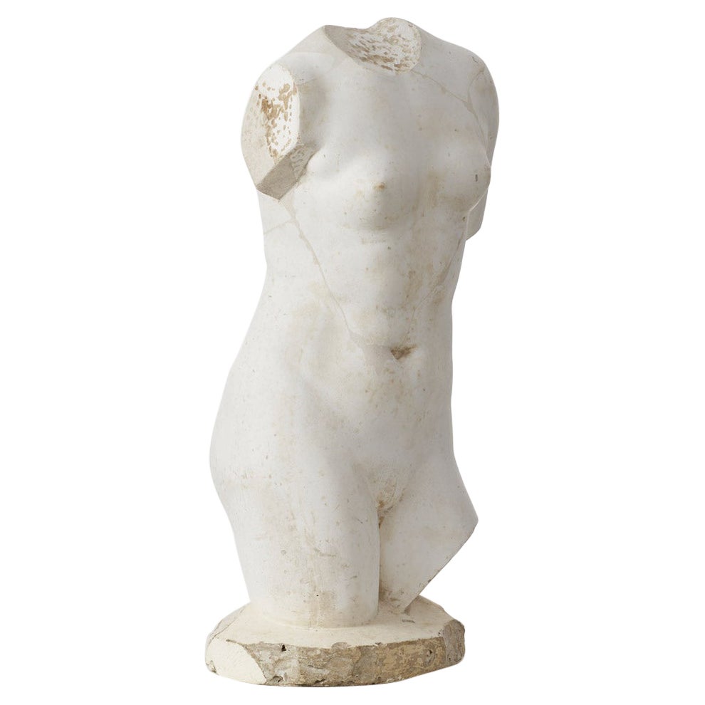 20th century British museum plaster cast of classical bust