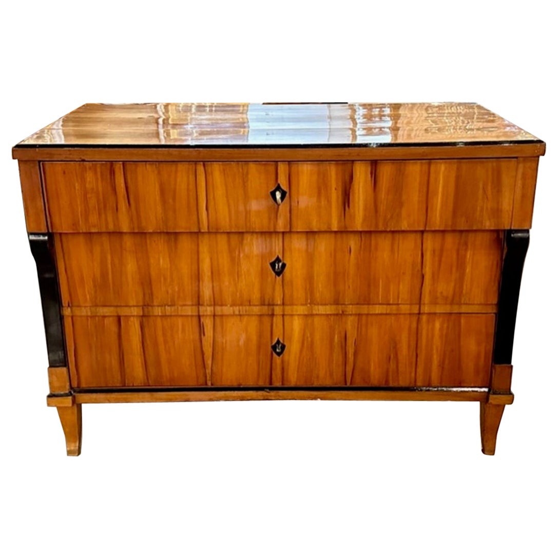 19th Century Biedermeier Walnut and Ebonized Commode For Sale