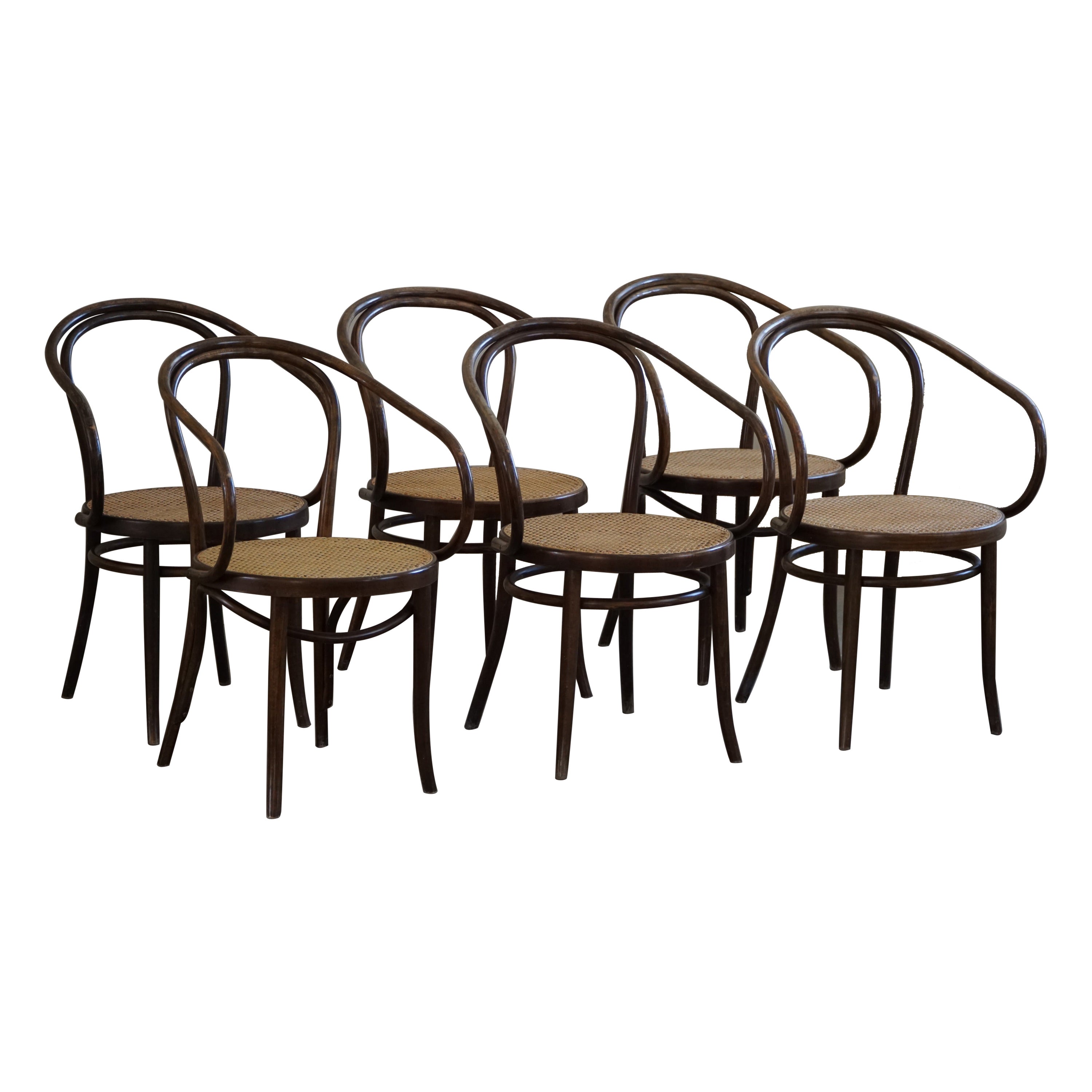 Ensemble de 6 chaises viennoises en hêtre et canne, Thonet, ZPM Radomsko, milieu du siècle, années 1960