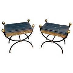 Pair of Neoclassical Style Curule Stools