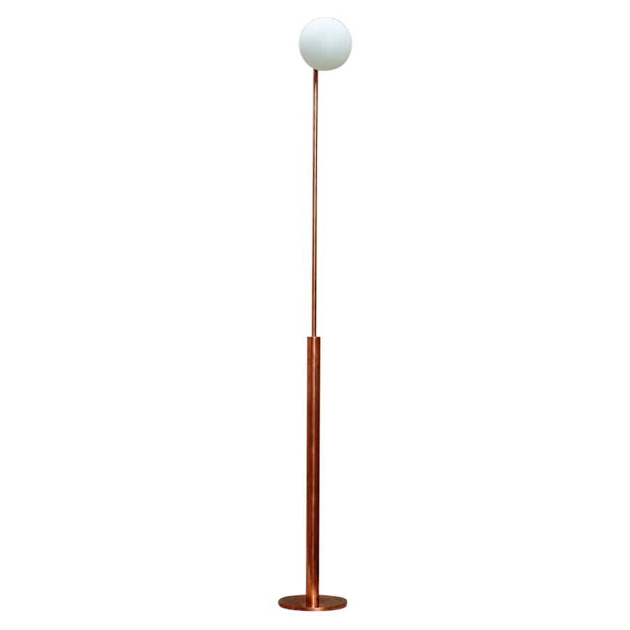 Fly Glass Globe Floor Lamp by Lamp Shaper For Sale