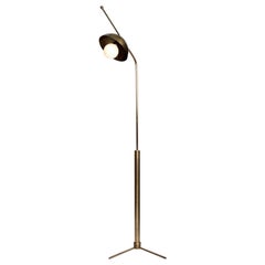 Wing Brass Dome Floor Lamp by Lamp Shaper