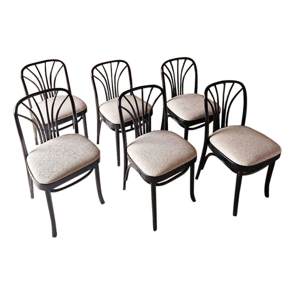 Thonet Style Bugholz Stühle aus Ebenholz