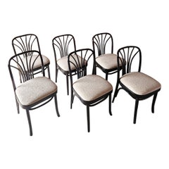 Thonet Style Bentwood Ebonised Chairs