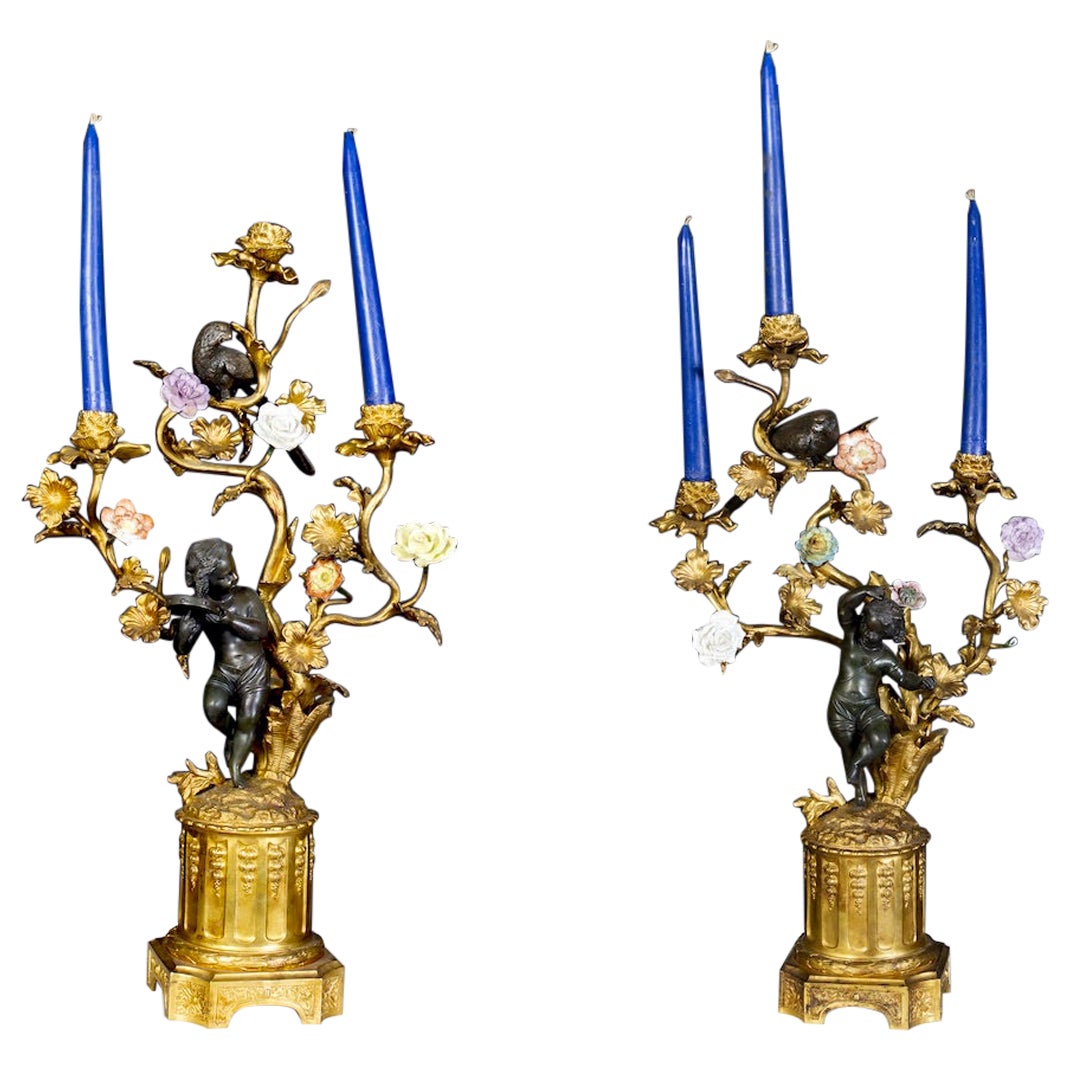 Incroyable paire de candélabres français du 19ème siècle en bronze et bronze doré