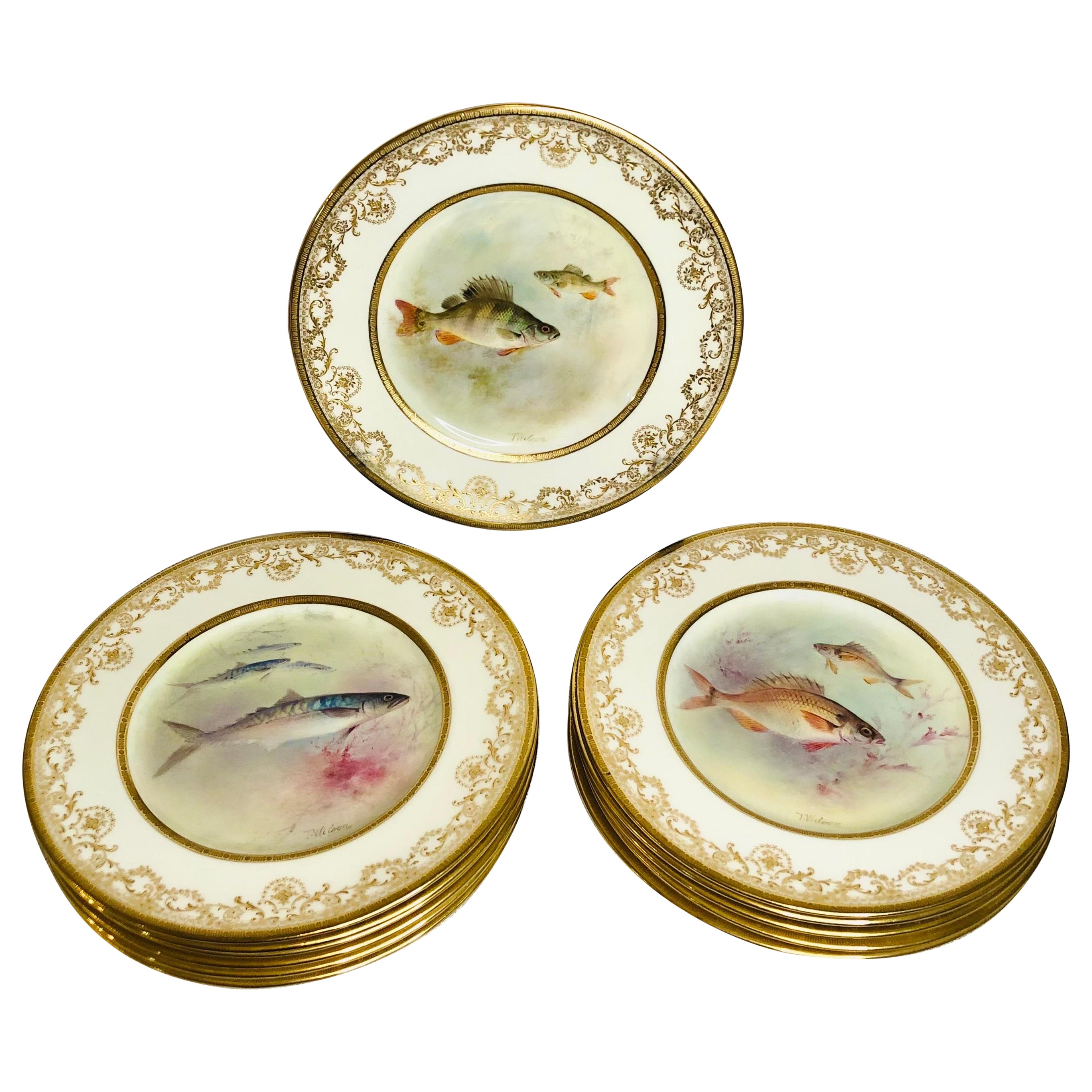 Set of 12 Royal Doulton Fish Plates Each Hand Painted with Different Fish 