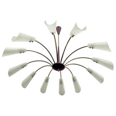 Lampadario a ragno a 12 bracci in stile Stilnovo. Italia anni '50