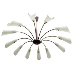 Vintage Mid-Century Large 12 arms spider chandelier in Stilnovo manner. Italy 1950s