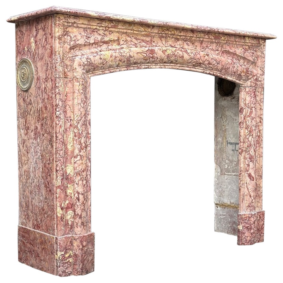 Louis XIV Style Fireplace In Purplish Brocatelle Marble Circa 1880 For Sale