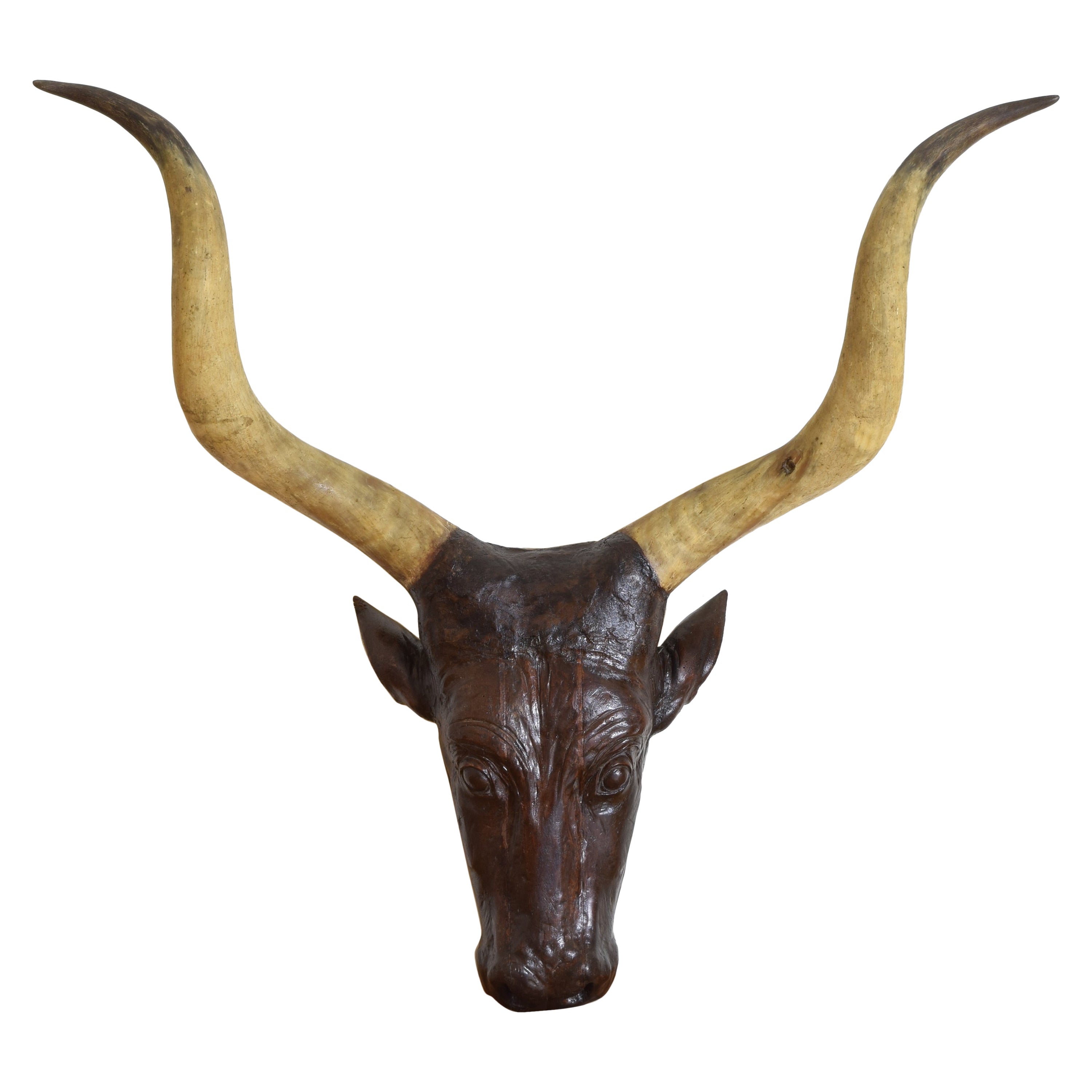 French Significantly Large & Expertly Carved Walnut Cow Head, 2nd half 19th cen.