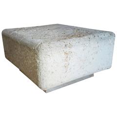 Natural Faux Coral Stone Fossilized Coffee Table