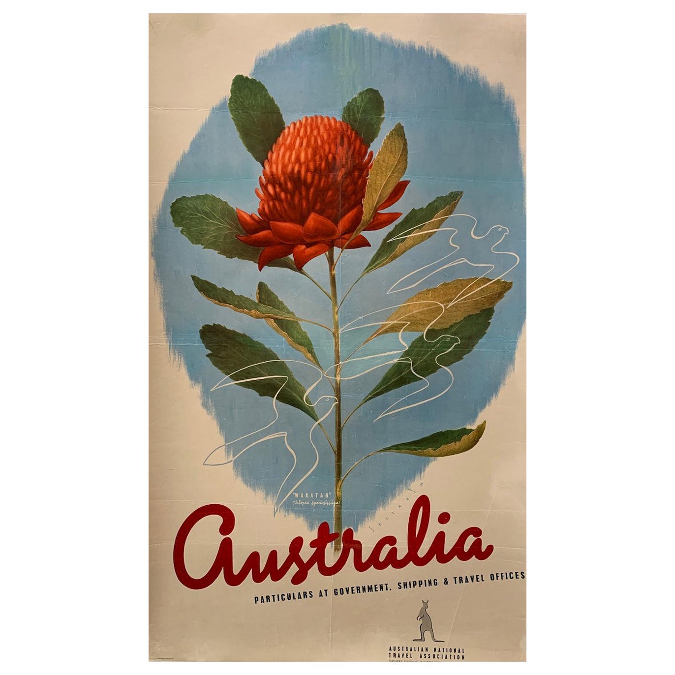 'AUSTRALIA WARATAH' Original Vintage Art Deco Poster by Sellheim For Sale