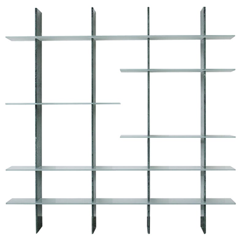 Mikado Wall Mounted Shelving Unit by Carla Baz For Sale