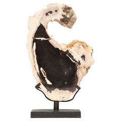 Petrified Wood Sculpture