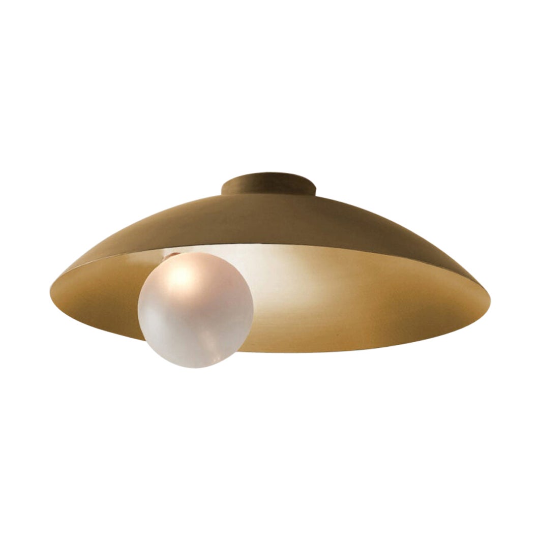 Oyster Brushed Brass Ceiling Mounted Lamp by Carla Baz For Sale
